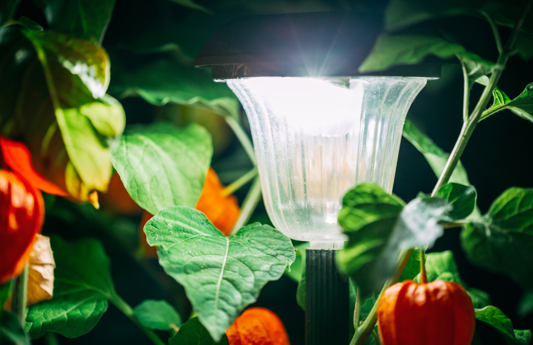 What are solar-powered garden gadgets?